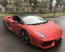 谢娜喜得二,胎千金,官方粉丝团,EVO真人视讯,EVO真人,(Sports),EVO视讯官网,EVO真人官方平台