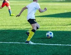 白鹿,敖瑞鹏粉丝,团联动,EVO真人视讯,EVO真人,(Sports),EVO视讯官网,EVO真人官方平台