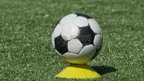 “观察 ｜ 意大利足球渐入困境：回光返照已逝？”