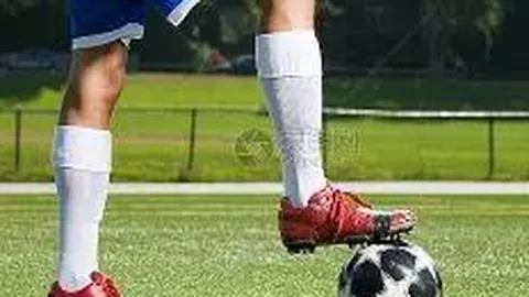 15个月后樊振东再获黄金球拍，王楠、郭斌有何观感？