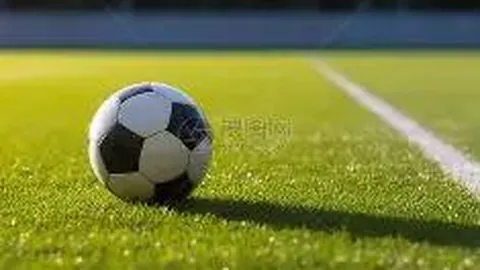 EVO真人官方平台 资讯 110229 mkk