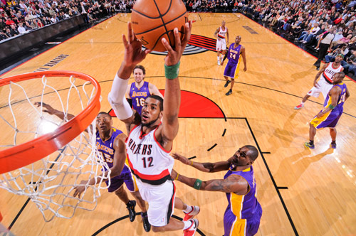 专业意见可 专业意见可